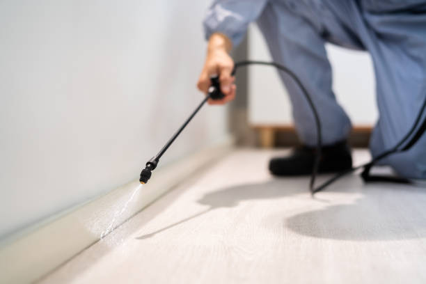 Licensed Termite Control service in Louisiana, MO - Nex Pest Control