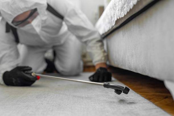 Professional Termite Control technician working in Louisiana, MO