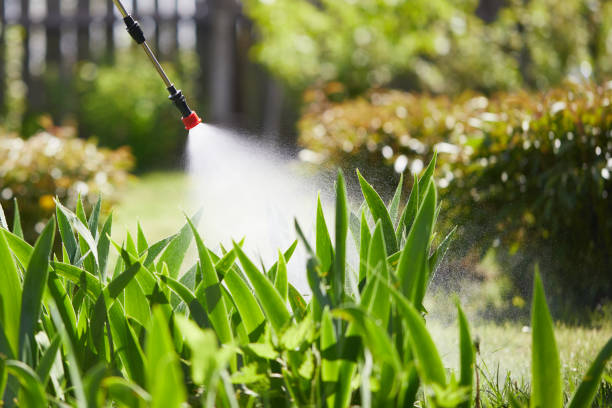 24/7 Emergency Termite Control experts in Louisiana, MO