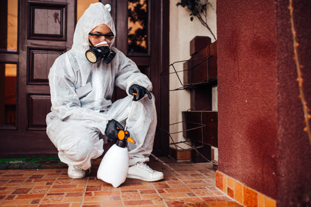 Reliable Termite Control contractor in Louisiana, MO by Nex Pest Control