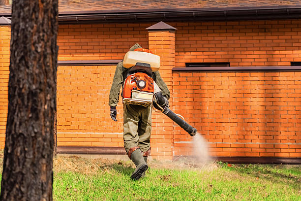 Trusted Termite Control service in Louisiana, MO - Nex Pest Control